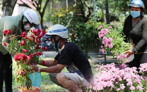Nhiều người dân tranh thủ đến xin đất, lượm hoa mang về trưa 29 Tết