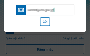 Làm gì khi mất mật khẩu ứng dụng BHXH số VssID ?