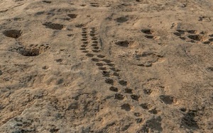 Tranh khắc kỳ bí trong sa mạc Qatar