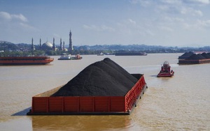 Giá than vọt lên cao nhất 2 tháng sau khi Indonesia cấm xuất khẩu