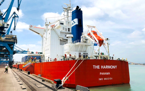 Nhiều tiền để làm gì: Giá cước vận tải biển tăng cao, Hoà Phát mua 3 tàu rời cỡ lớn tự vận hành