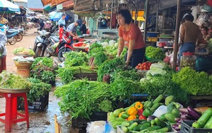 Không lo tăng giá, thiếu hụt hàng dịp Tết Quý Mão