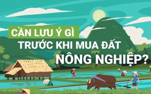 [Infographic] Cần lưu ý gì trước khi mua đất nông nghiệp