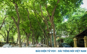 Những điểm chụp ảnh mùa thu Hà Nội tuyệt đẹp không thể bỏ qua