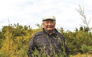 Người đàn ông 20 năm tạo ‘ốc đảo xanh’ trên hoang mạc Gobi