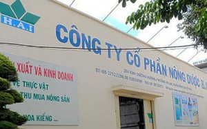 Ngân hàng kê biên thêm nhiều khu đất của công ty liên quan ông Trịnh Văn Quyết