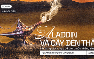 Aladdin và cây đèn thần: Lật tung cả sa mạc để tìm thuốc kháng sinh mới