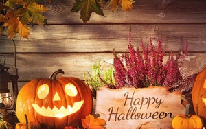 Lễ hội Halloween 2022 là ngày nào?