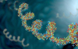 Phát hiện virus cổ đại trong mô khoẻ mạnh của con người