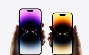 Nên chọn mua phiên bản iPhone 14 nào?