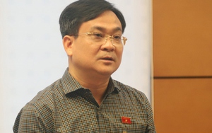 Chưa có xe ô tô vẫn được đấu giá biển số và không giới hạn số lượng