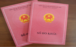 Cần đặc biệt lưu ý những điều này khi tra cứu sổ hộ khẩu điện tử