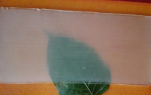 Gỗ trong suốt có thể thay thế nhựa