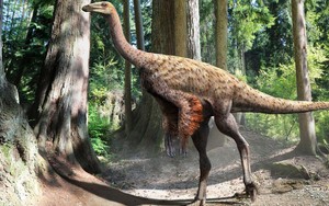 Phát hiện hóa thạch loài khủng long giống đà điểu ở Bắc Mỹ