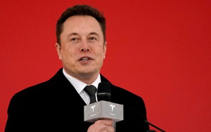 Tỉ phú Elon Musk đề xuất trưng cầu ý dân lại và trao Crimea cho Nga, Ukraine nói gì?