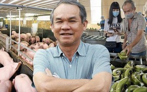 Bầu Đức "chiêu mộ" bác sĩ thú y chăm đàn gà – heo, trả lương hậu hĩnh đến 40 triệu/tháng