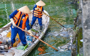 Hà Nội: Công nhân khẩn trương vớt cá chết nổi trên mặt hồ Tây