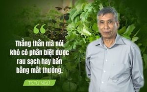 Chuyên gia dinh dưỡng 'mách' 4 tiêu chí khi chọn rau