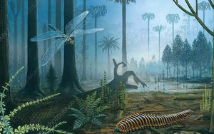 Chuyện gì sẽ xảy ra nếu lượng oxy trên Trái đất tăng gấp đôi