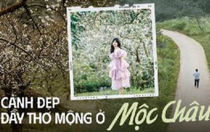 Cảnh sắc Mộc Châu những ngày chớm đông khiến hội mê sống ảo không thể bỏ lỡ