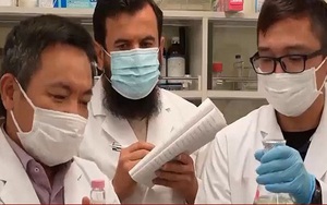 Tìm ra chất ức chế tế bào ung thư từ lúa gạo