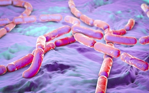 Ngộ độc thực phẩm do Bacillus cereus: Từ A - Z những điều bạn cần biết