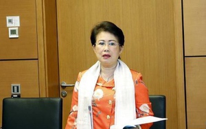 Vụ AIC: Điều tra trách nhiệm cựu Phó Chủ tịch Đồng Nai Phan Thị Mỹ Thanh