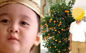 Cậu bé từng gây sốt trong quảng cáo Tết 16 năm trước: Lớn lên cực điển trai, thành tích học tập còn rất "khủng"