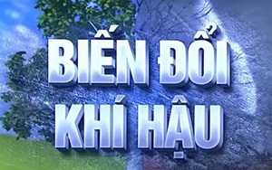 COP27 sẽ thống nhất các bước nhằm hạn chế sự gia tăng nhiệt độ toàn cầu