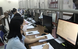 Hải quan TP HCM thu ngân sách đạt kỷ lục