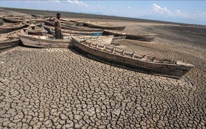 Châu Phi trở thành trọng tâm của các cuộc thảo luận về khí hậu tại COP27