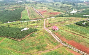 Những dự án cạo trọc đồi xanh ở Lâm Đồng từng gây bão dư luận giờ ra sao?