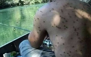 Đứng ngồi không yên với những bức ảnh vừa khó hiểu vừa gây khó chịu