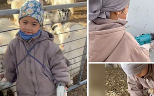 Cậu bé 5 tuổi khiến cư dân mạng Trung Quốc "ngả mũ" thán phục