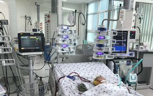 Đặt ECMO cứu bệnh nhi sốc sốt xuất huyết biến chứng suy hô hấp cấp