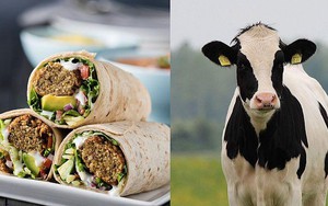 Đại học đầu tiên ở Anh chuyển sang ăn chay