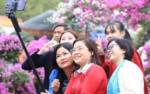 Gần 100.000 lượt người dự lễ hội hoa Mê Linh 2022