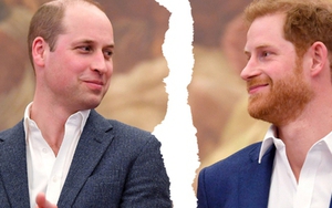 Vương tử William chính thức dứt tình anh em, còn "ghim thù cá nhân" với Harry