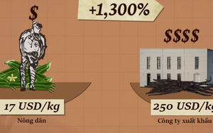 Vì sao Madagascar vẫn nghèo dù đi đầu về xuất khẩu vani - hương liệu ‘vàng xanh’ đắt hơn bạc?