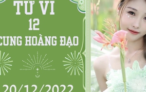 Tử vi vui 12 cung hoàng đạo 20/12: Bảo Bình táo bạo hơn, Song Tử hưởng lộc