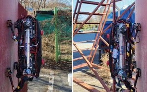 Robot leo tường như nhện