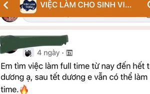 Kiếm tiền tiêu Tết, sinh viên tránh sập bẫy làm thêm