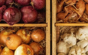 Cách bảo quản một số loại rau củ, trái cây tươi ngon trong nhiều tháng