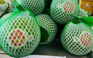Bưởi da xanh bay đến Mỹ, giá hơn 500.000 đồng/kg