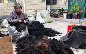 Trung Quốc có thành phố mệnh danh "thánh địa của tóc giả" - nơi những cô gái nông thôn bán tóc thành thông lệ