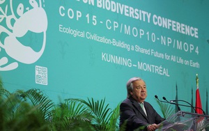 LHQ kêu gọi thỏa thuận bảo vệ đa dạng sinh học