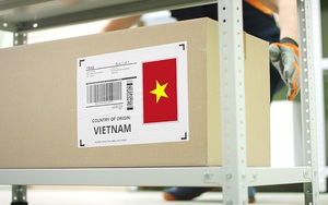 Một quốc gia bất ngờ "vượt" TQ và Mỹ: Tốc độ tăng nhập khẩu hàng hóa Việt Nam cao nhất tháng 1/2022