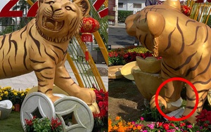 SỐC: Linh vật hổ ở một địa phương bỗng gãy mất chân trước thềm năm mới, biết được lý do dân mạng ai cũng phẫn nộ