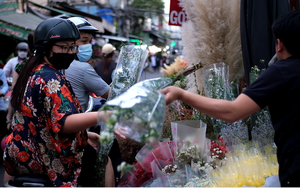 Giá hoa hồng Đà Lạt tăng kỷ lục trước ngày Valentine