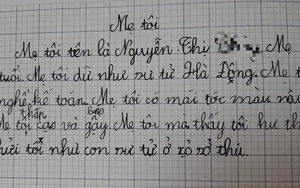 Học sinh bóc phốt khiến mẹ "giận tím mặt": Mẹ tôi dữ như sư tử Hà Đông, tôi hư thì nói tôi như sư tử trong sở thú